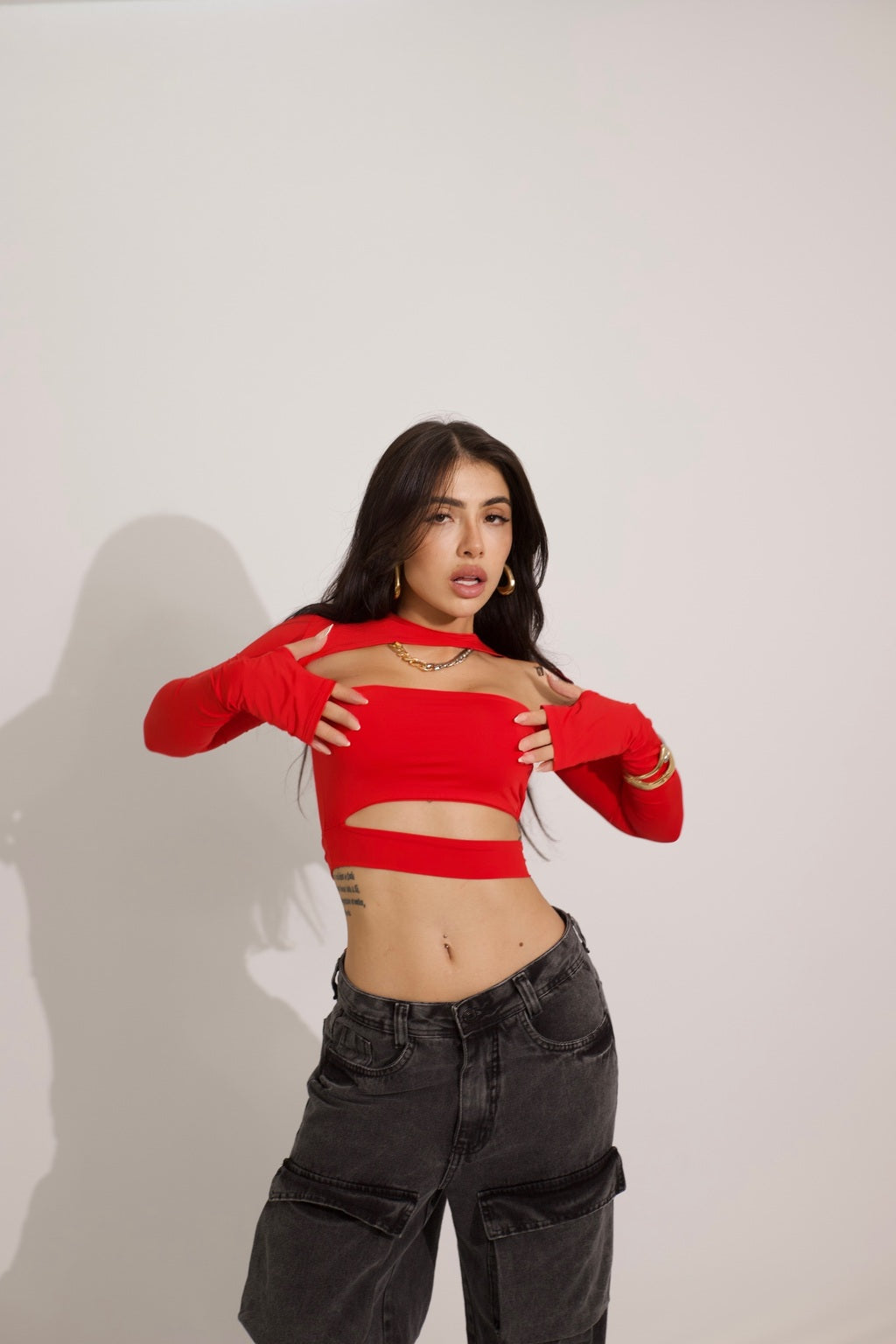 Crop Chia Rojo
